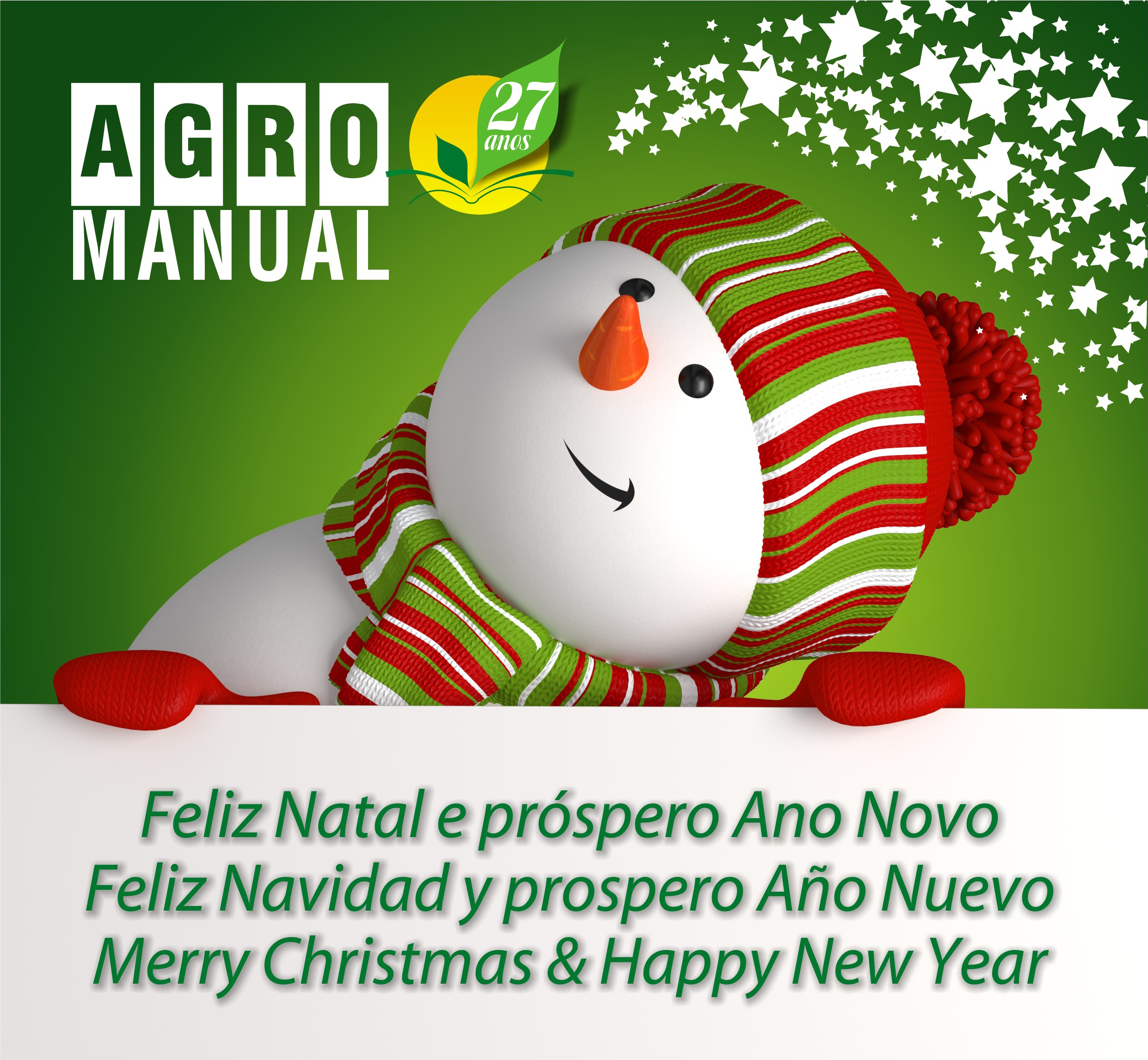 Desejos de Festas Felizes e um excelente Ano Novo!